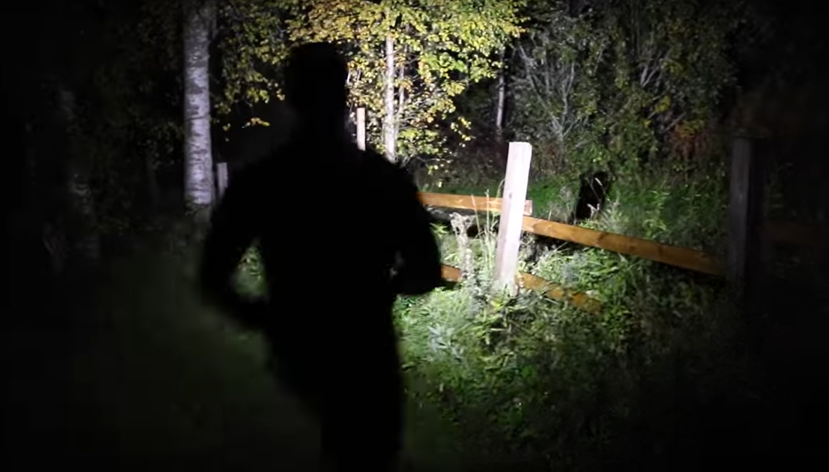 Löpning ute i terräng med pannlampa.